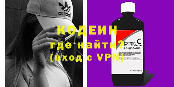 хмурый Бородино