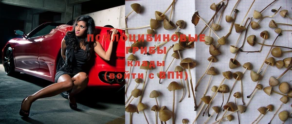 соль ск Богданович