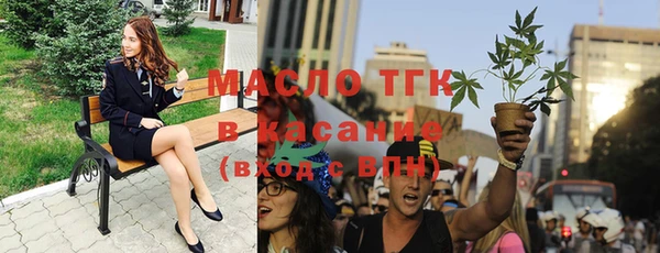хмурый Бородино
