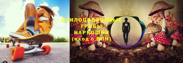 хмурый Бородино