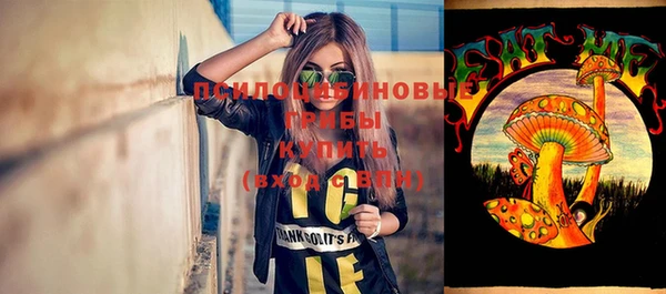 хмурый Бородино