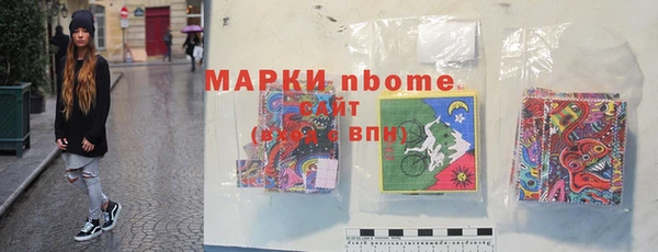 хмурый Бородино