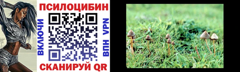 Псилоцибиновые грибы Magic Shrooms  наркотики  Будённовск 